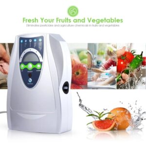 Lavadora portátil de frutas y verduras, purificador de alimentos para el hogar, limpiador de alimentos, 110V, 220V, enchufe estadounidense y europeo