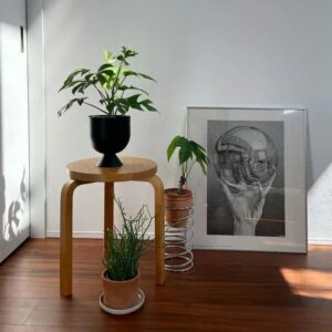 Torre de exhibición de plantas ajustable 3-amy-12x3-vip, modificar la altura para mostrar plantas de varios tamaños