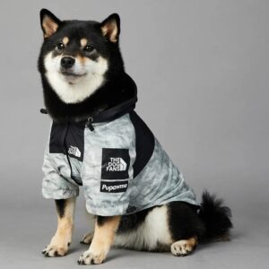 Chubasquero para perros pequeños y grandes, cortavientos, Sudadera con capucha para Bulldog Francés, chaqueta con cara de perro Chihuahua