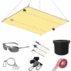 Luz LED de cultivo de 800W SM LM281b +, diodos, silencioso, sin ventilador, espectro completo, alto PPFD, cobertura de 5x5 pies, verduras y florecientes