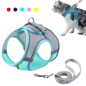 Conjunto de correa de arnés para gato y perro, Collar ajustable para Bulldog Francés, chaleco para cachorro, Chihuahua, correa de plomo para caminar al aire libre