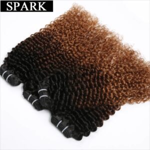 Extensiones de cabello humano rizado Afro, mechones de Color 1B/4/30, T1B430, ombré, brasileño, 100%, paquete de tejido