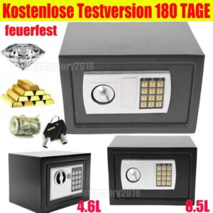 DayPlus Coffre-fort à Serrure Électrique, Coffre Fort à Clef, Coffre-fort Mural ou à Poser au Sol, Coffre-Fort en Acier pour la Maison, l'hôtel et le Bureau, le Commerce, les Bijoux, l'Espèce, 4.6L/8,5L, Noir